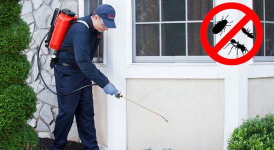 Bartın Gümüşkurt İlaçlama böcek ilaçlama ve haşere kontrolü — ilaclama-tr.com